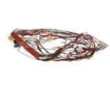 0CB084 Electrolux Professional Wiring Harness; Hspe