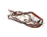 0CB084 Electrolux Professional Wiring Harness; Hspe