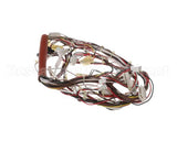 0CB084 Electrolux Professional Wiring Harness; Hspe