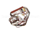 0CB084 Electrolux Professional Wiring Harness; Hspe