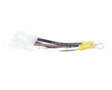 0CB309 Electrolux Professional Wiring Harness
