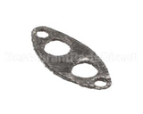0CK119 Electrolux Professional Spark Plug Gasket