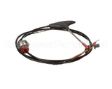 0CK174 Electrolux Professional Core Probe; Single Point 6 1/1