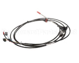 0CK601 Electrolux Professional Core Probe