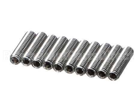 0D0522 Electrolux Professional Screw, 10 Pieces