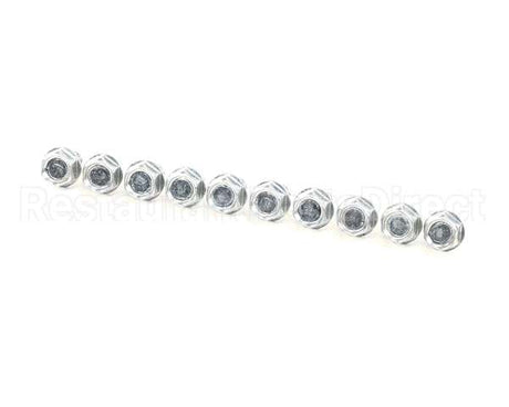 0D0551 Electrolux Professional Screw, 10 Pieces
