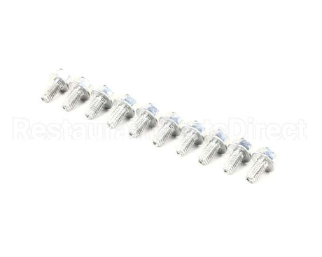 0D0551 Electrolux Professional Screw, 10 Pieces