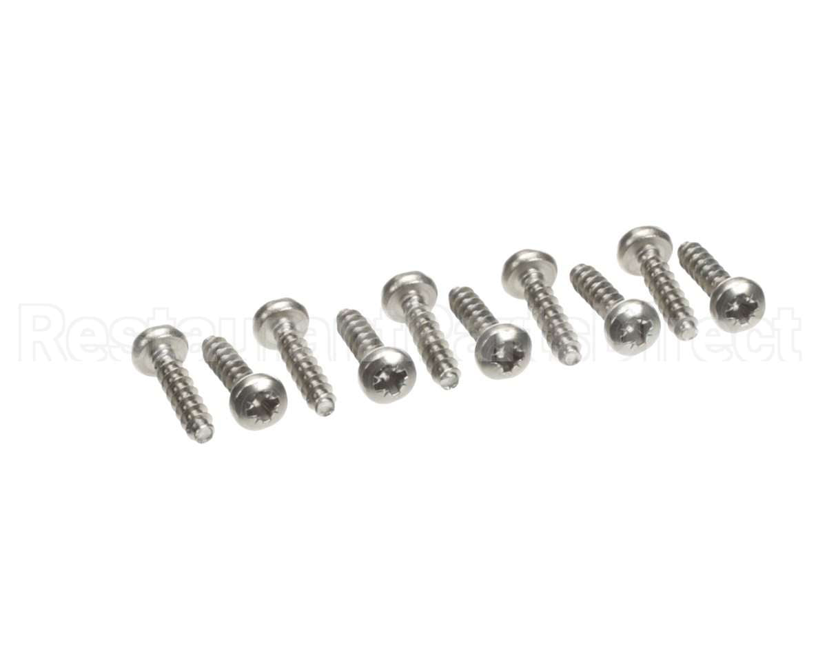 0D1009 Electrolux Professional Screw, 10 Pieces