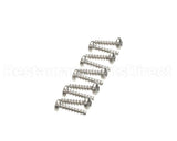 0D1009 Electrolux Professional Screw, 10 Pieces