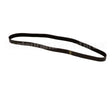 0D3929 Electrolux Professional Belt