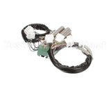 0D4037 Electrolux Professional Cable Phase Verification Extension