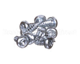 0D6250 Electrolux Professional Screw, Set 10Pcs