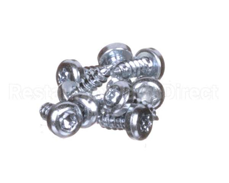 0D6250 Electrolux Professional Screw, Set 10Pcs