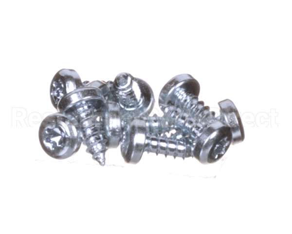 0D6250 Electrolux Professional Screw, Set 10Pcs