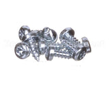 0D6250 Electrolux Professional Screw, Set 10Pcs