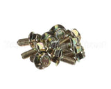 0D6786 Electrolux Professional Screw, M6X12, Set 10Pcs