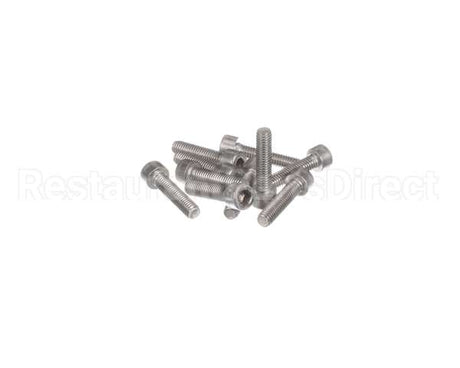 0D6985 Electrolux Professional Screw, M6X25 Inox, Set 10Pcs