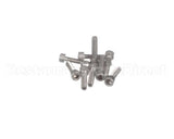 0D6985 Electrolux Professional Screw, M6X25 Inox, Set 10Pcs