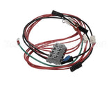 0D7588 Electrolux Professional Wiring Harness, Libero