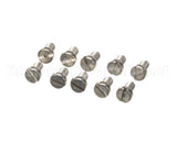 0G2424 Electrolux Professional Screw, M4X8, Set 10 Pieces