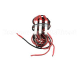 0G5949 Electrolux Professional Ignition Electrode