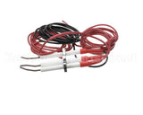 0G6241 Electrolux Professional Spark Plug With Flame Dectection Plug