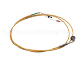 0G8789 Electrolux Professional Sensor