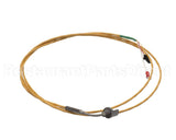 0G8789 Electrolux Professional Sensor