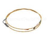 0G8789 Electrolux Professional Sensor