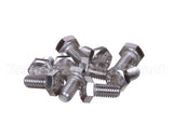 0KQ494 Electrolux Professional Screw, 10 Pieces