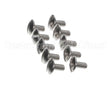 0KQ527 Electrolux Professional Screw, 10 Pieces