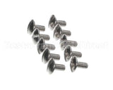 0KQ527 Electrolux Professional Screw, 10 Pieces
