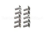 0KQ527 Electrolux Professional Screw, 10 Pieces