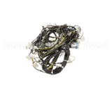 0L1157 Electrolux Professional Wiring Harness, Pw1-Pw2 Usa