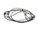 0L2916 Electrolux Professional Wiring Harness