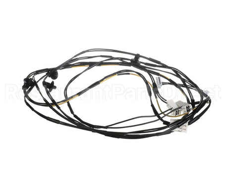 0L2916 Electrolux Professional Wiring Harness
