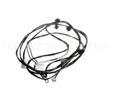 0L2916 Electrolux Professional Wiring Harness