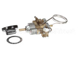 0M0885 Electrolux Professional Robinet Thermostat.st24 890017