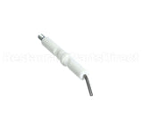 0PRC1G Electrolux Professional Spark Plug