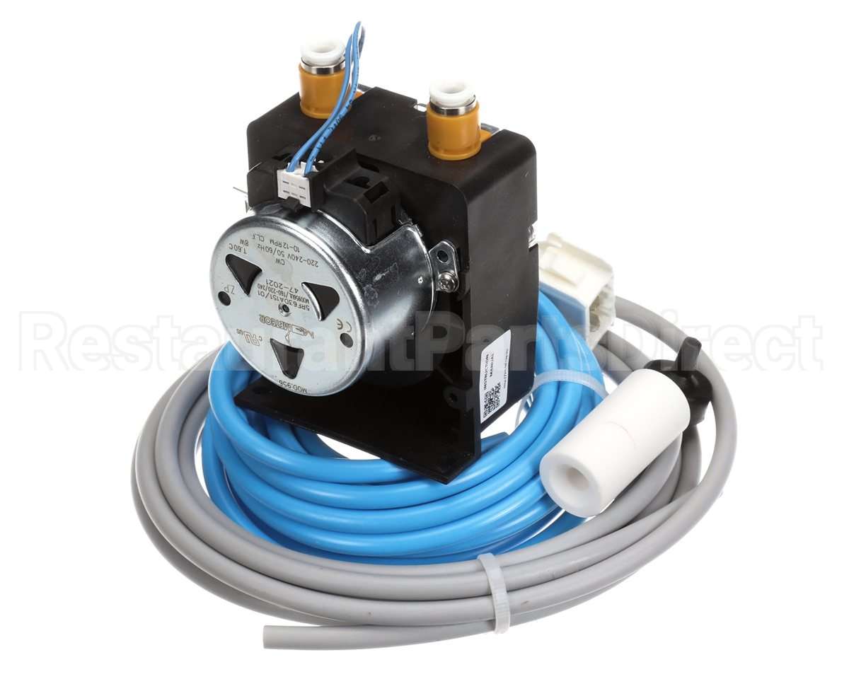 0S2787 Electrolux Professional Rinse Pump