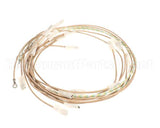 0SI006 Electrolux Professional Wiring Harness