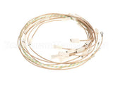 0SI006 Electrolux Professional Wiring Harness