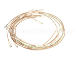 0SI006 Electrolux Professional Wiring Harness