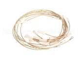 0SI006 Electrolux Professional Wiring Harness