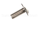 0U0666 Electrolux Professional Screw, 10 Pieces