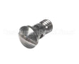 1.3300 Synesso Diffuser Screw, Stainless Steel