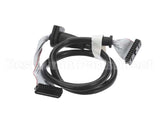 1.4863 Synesso Ribbon Cable, 20 Pin Round, For Handheld
