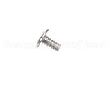 1.8000 Synesso Screws, Ss, 6-32 Truss Hd Slot, 1/4'
