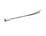 10-5991 Market Forge Pilot Light