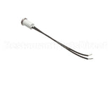 10-5991 Market Forge Pilot Light